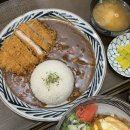 아이프로젝트안경 구미확장단지점 렌즈미 구미산동점 | 구미 산동 혼밥 맛집, 마이카츠 :: 가성비 돈까스집 가츠동 카츠라이스 내돈내산