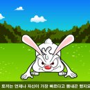 토끼와거북이 이미지
