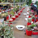 김동수농장 이미지