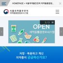 헤나스토리
