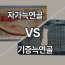 아너스티성형외과의원 이미지