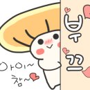 청룡농장 이미지