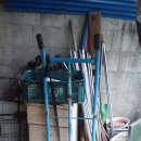 대구금포초등학교 이미지