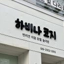 하비나 코지 이미지