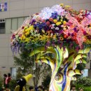 힐링 생활 꽃장식 이미지