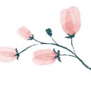 역삼-1472 이미지