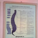 류종삼한의원 이미지