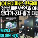 일본 "JOLED 파산, 한국에 항복"그런데 삼성 폭탄선언후 아비규환"미국 믿다가 망연자실 2차 충격" 이미지