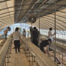 호우농장 이미지