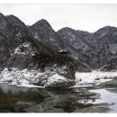 월류정 Daum카페