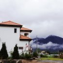 준요네집 이미지