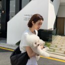 수기헤어 이미지