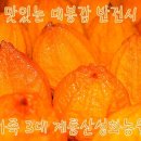 계룡산성화농원
