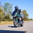 모토모토 이미지