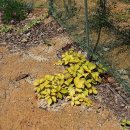 소쿠리농장 이미지