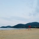 신혼여관 이미지