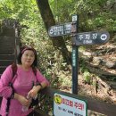 담양추월산1 이미지