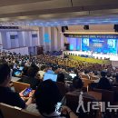 파라스타 티스토리