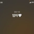 바보푸드 이미지