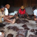 바닐라 게임 이미지