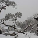 송*하 이미지