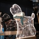 멍멍아 준비땅 이미지