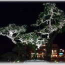 거창군청 이미지