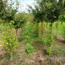 서천농장 이미지