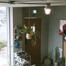 부평구청역 8번 출구 | [공지] (인천) [부평구청 감성 카페 ‘런 아모크’] 여러 번 가본 후기!