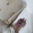 이곡종합동물병원 이미지