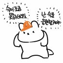 켈리닷컴 | [굿즈일기] 스타벅스 야구공 각인 텀블러, 랜더스X그로밋 콜라보 후드자켓 후기