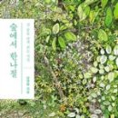 남해-272 이미지