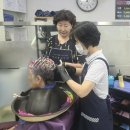 사랑방미용실 - 창원시 진해구 중원서로 74-1 | 사랑방미용실