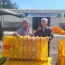 표선농업협동조합 농산물산지유통센터 이미지