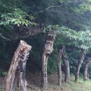 근황(近況) 이미지