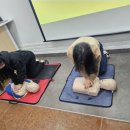 피톤치드수학학원