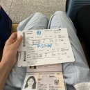 에이비씨커피 시청점 | 하와이 신혼여행(1) :: 스카이허브라운지, 하와이안항공, 마우이 카팔루아비치, 마우이 블랙락 비치 후기