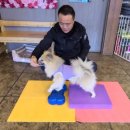 아껴줄개 이미지