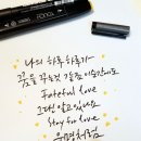 더 넛츠~사랑의 바보 이미지