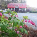 가창로176길 이미지