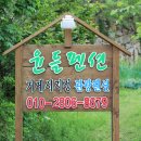 윤들펜션 네이버블로그