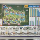 한방제일부동산공인중개사사무소 이미지