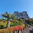 주식회사 오아시스 이미지