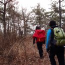 양림농장 이미지