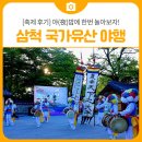객사5리마을회관 | [축제 후기] 야(夜)밤에 한번 놀아보자! 2025 삼척 국가유산야행