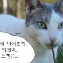 꽃비민박 이미지