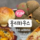 몰리하우스 이미지