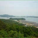 신도커피 이미지