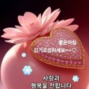 동반자 - 영양군 | 동반자