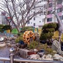 서대구초등학교 이미지